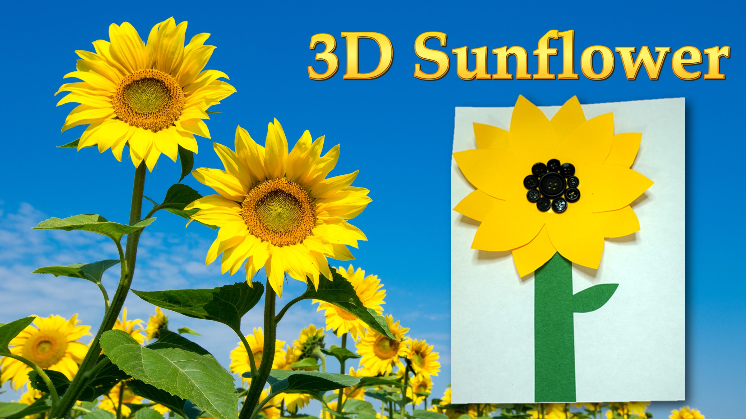 Turner Take Home 3D Sunflower Kansas City, Kansas Public Library